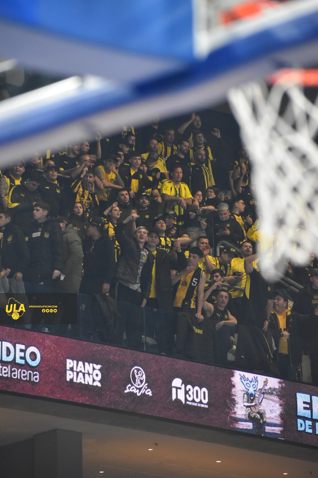 Basket