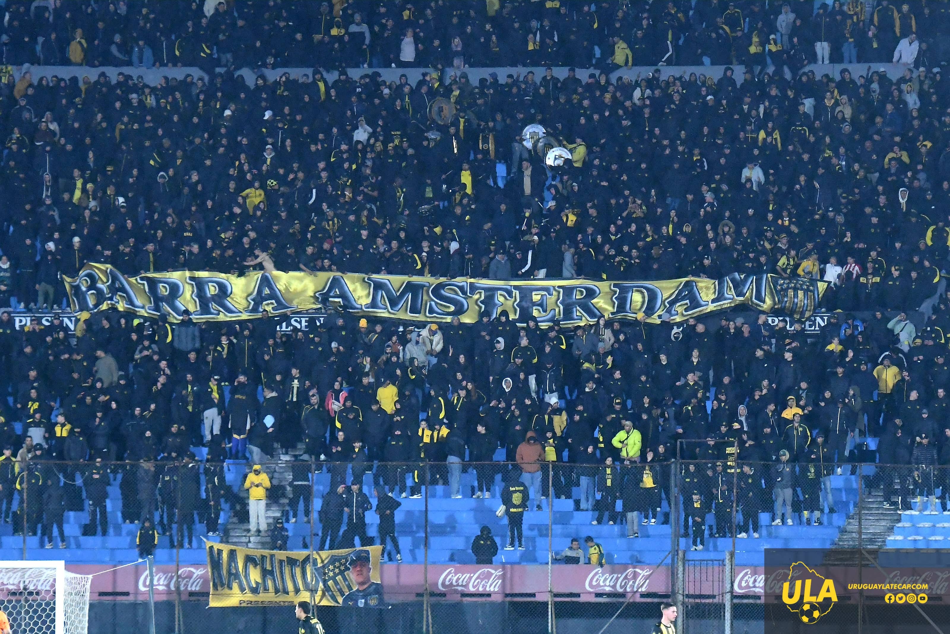 Centenario (1)